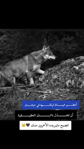 #fyp #F #f #شعب_الصيني_ماله_حل😂😂 #ابوني_ياك_باطل_ولا_حنا_مانستاهلوش 