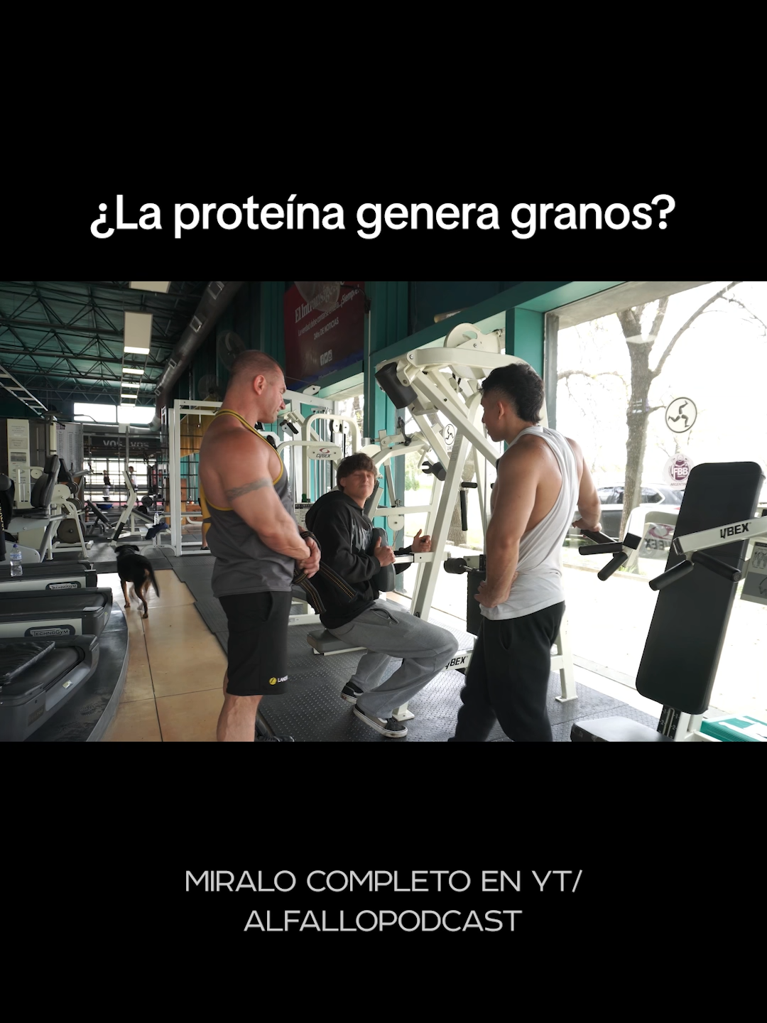 ¿La proteína genera granos? #proteina #proteinaenpolvo #gimnasio #entrenamiento #pesas