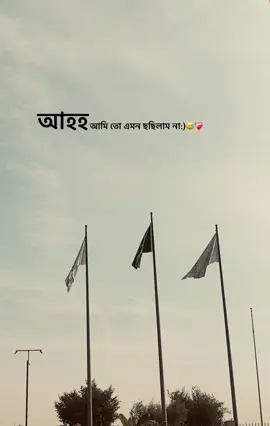 আহহহ, আমি তো এমন ছিলাম না 😅❤️‍🩹@For You @TikTok Bangladesh #Bahmonbaria #bangladesh🇧🇩 