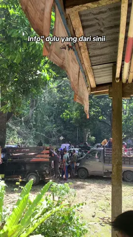 Gacorr lagii🐗🐕‍🦺#zhumpallabu #porbibone #porbisoppeng #porbiwajo #babihutan 