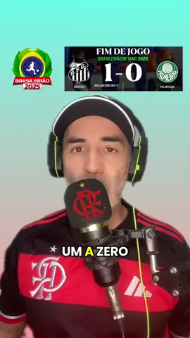 #campeonatobrasileiro #brasileirao #palmeiras #santosfc #flamengo 