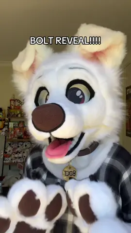ITS BOLT!!! ⚡️ You may have seen this boy before; he was made by Pinqfluff and he was recently refurbished by myself!!  I’m so lucky to be the new owner of this suit for the rest of his time :) ❤️ #furry #fursuit #bolt #disneybolt 