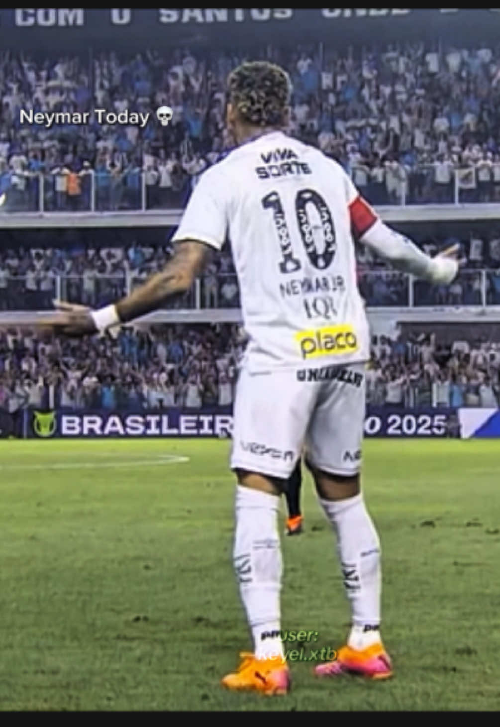Neymar trickster vs palmeiras today 😮‍💨 #neymar #neymarjr #liberaltiktok #skillsfootball 