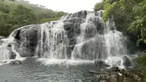 ස්භාදහම ඇතුලේ පුංචි නිර්මාණයකට පුලුවන් මනුස්සයෙක් ගෙ හදවතක් නිරායසයෙන්ම නිවලා දාන්න...🍃💕🏞️##SriLankaJourney #nuwaraeliya #nature #waterfall #NaturalBeauty #naturelovers #srilanka #Lifestyle #lovelife  #natural #beauty#bakersfall#beauty# #natural #fyp #fyppppppppppppppppppppppp #fllowers #1 #go #goviral #goodvibes #goviralvideo #
