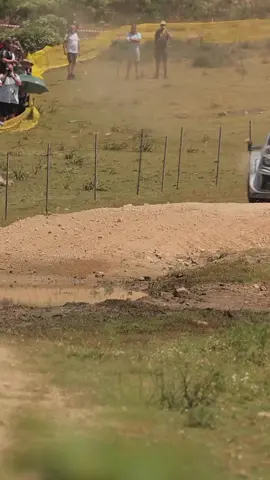 Toyota is 1 title away with leveling up with Lancia 🔥🔥 #rally #motosport #