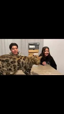 Lying challenge with Audrina & Ivan🤥😆 @𝓪𝓾𝓭𝓻𝓲𝓷𝓪 @323_.ivann#lyingchallenge#lyingchallengeschoolsweethearts #teenagers #teenagelove 