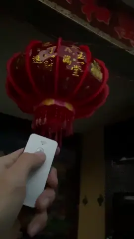 Lồng đèn trang trí Tết #tet2026 #trangtritet #decortet #longden #xuhuongtiktok 