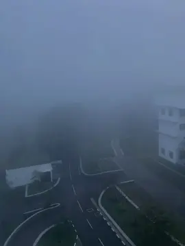 Misty morning in magical paradise ❄️💗#nsbmgreenuniversity #nsbm#onemillionaudition #foryourpage #trending 