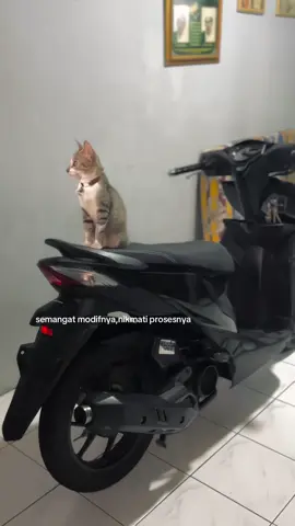 #beatdeluxemodifikasi #beatdeluxe #koj #fyp 