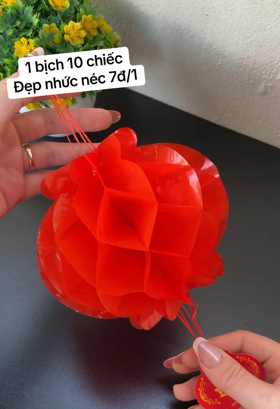 Đẹp nhức luôn mấy bà ơi mua sớm rẻ điên luôn #denlong #denlongtet #denlongdo #tet2026 #xuhuong 