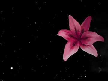 Amor de papel 💘 -@Jorge Cuéllar  #ge1ne_ #mxrianazx #fypシ゚ #edit #amordepapel 