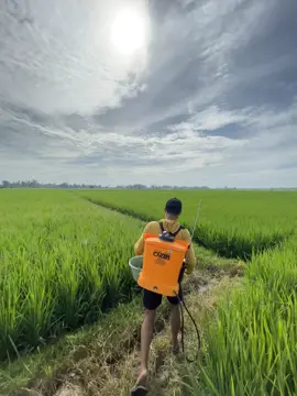 #fyp #fyppp #petanimuda 