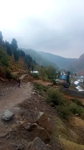 #plese_tiktok_for_you #plesesupport #pleseunfrzmyaccount😭 