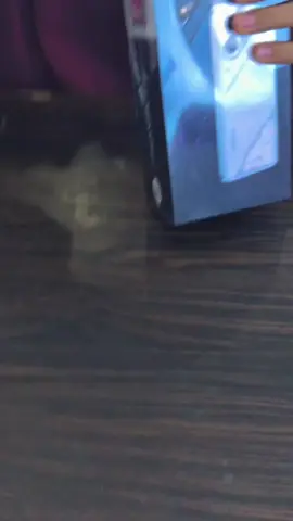 Unboxing Tecno Pova 7 Ultra 5G lagi nih kak😍😍 #tecnoindonesia #tecnosulawesi #tecnopova7series #tecnopova7 #tecnopromotor