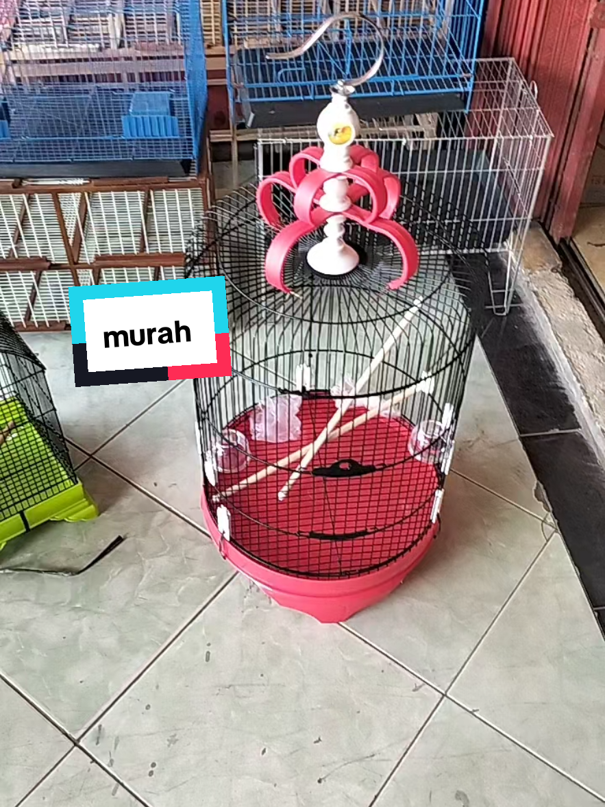 Membalas @ahmad.tafsir54 sangkar kandang burung besi bulat jumbo besar diameter 42 cm #burung #kicaumania #shoptokopedia 