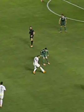 Neymar vs Palmeiras 🔥