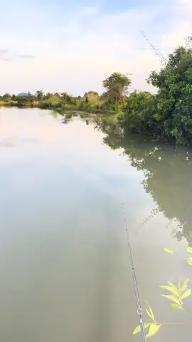 តាប៉ែមែន😂