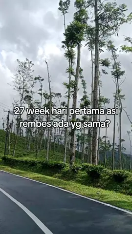 #ibuhamil #hplfebruari2026 #kontenhamil 