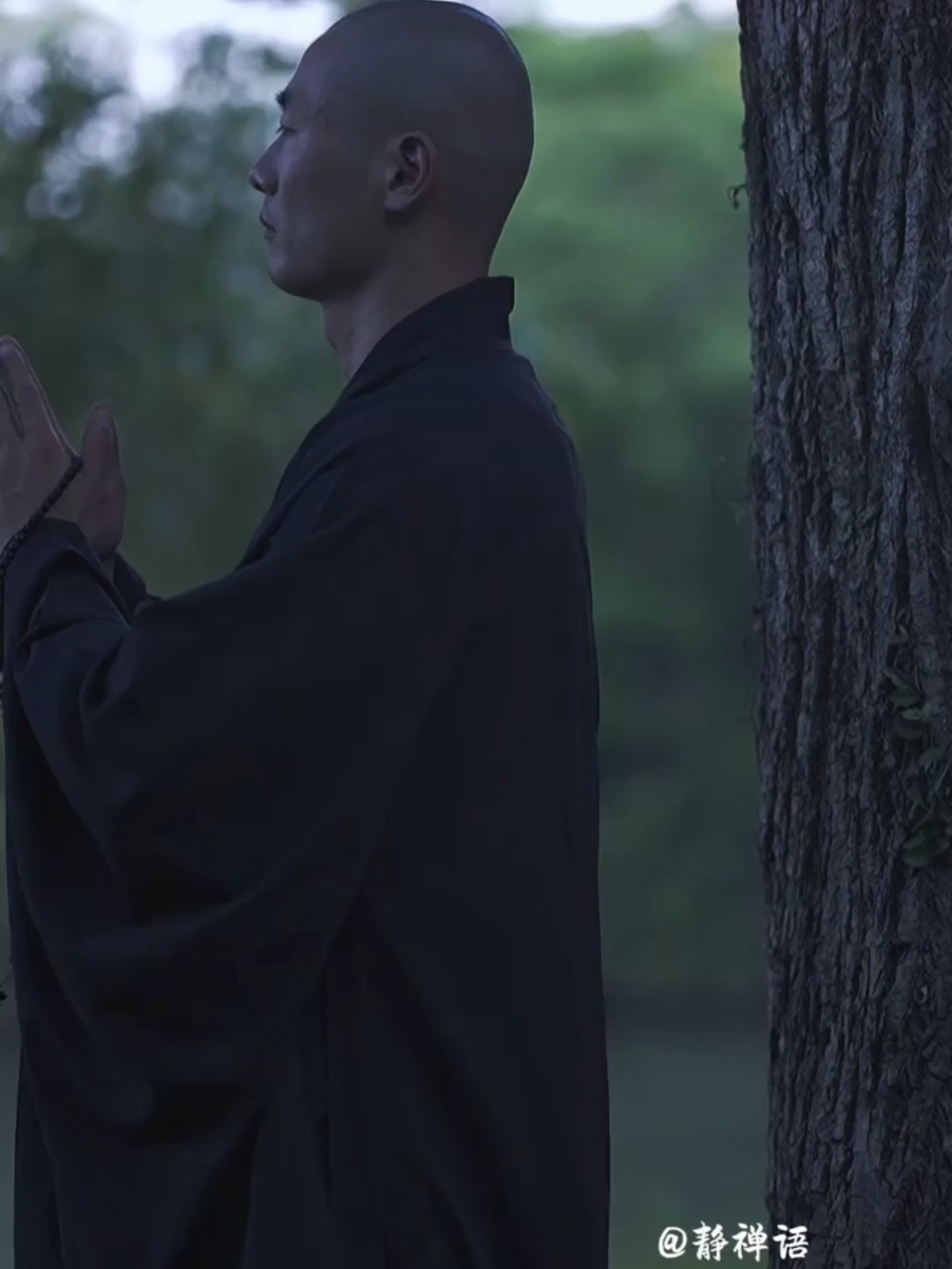 Ở trong thế giới của mình tự lo cho chính mình ~ #tuchualanh #tuchualanhchinhminh #yeuthuongvatuchualanh #binhan #songmanhme #manhkhoe #hanhphuc #phatphapnhiemmau #kimcuonghylac #học #yeuthuong #tudo