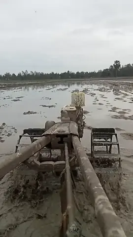 #សុំ❤️ម្នាក់មួយមកok🙏❤️❤️ 