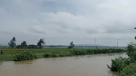 panen raya pasung Lakbok jadi laut siapa yang peduli silahkan turun kelapangan jangan pake basa-basi 