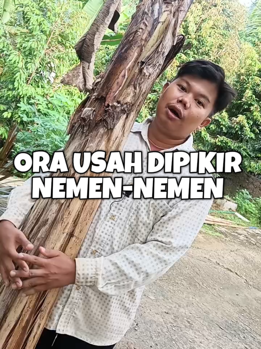 Ora usah dipikir nemen nemen - kata kata ngapak #ngapak #cilacap #ngapakcilacap #ngapakbanyumas #fyp 