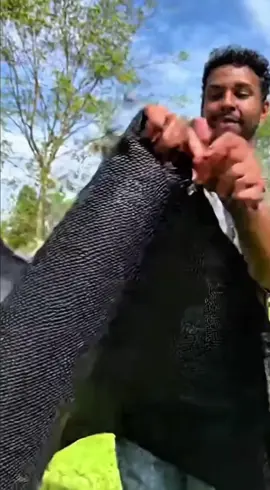 #proteçao #tela #tiktokshop 