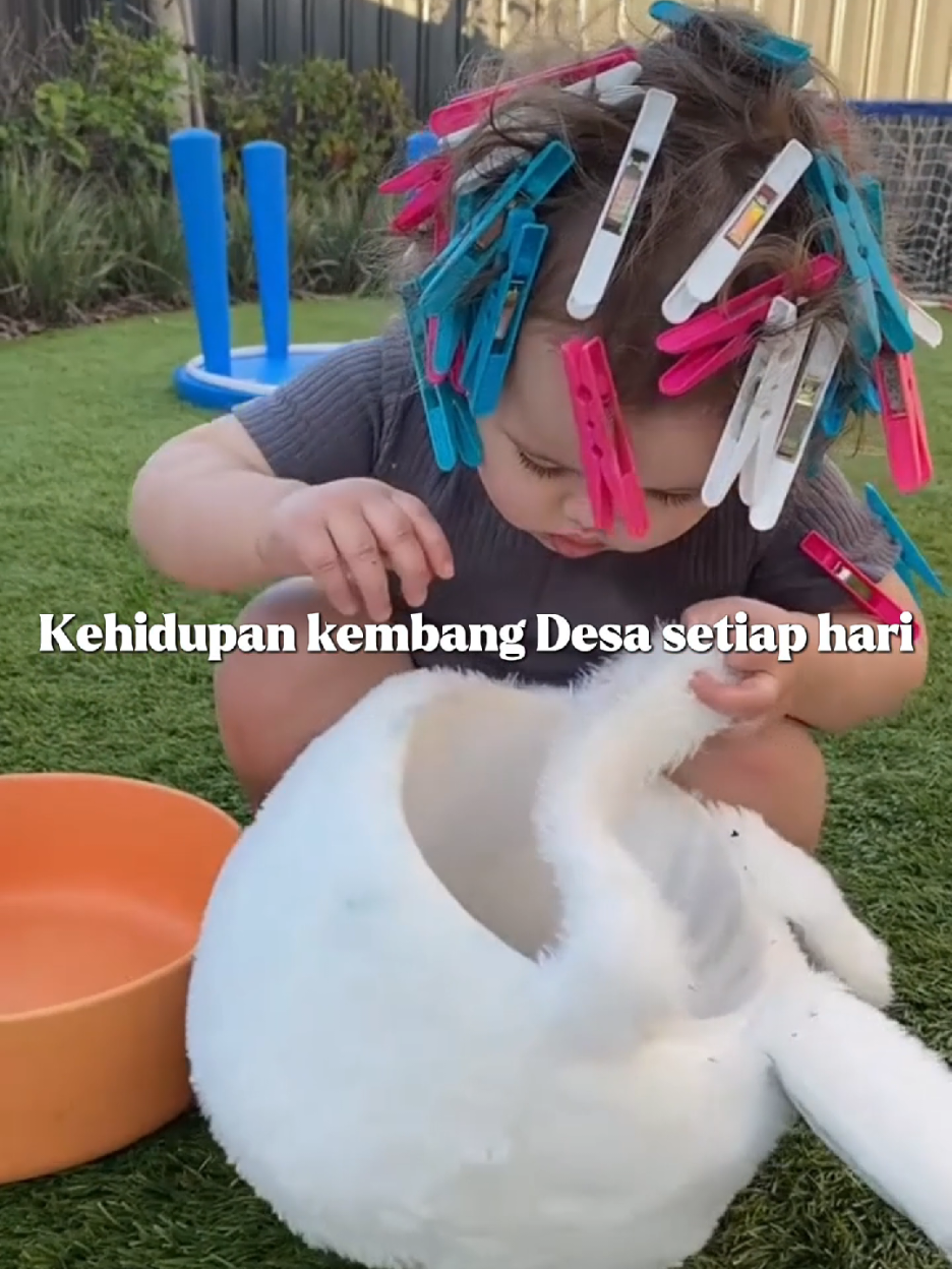 baba si gadis tulung agung😭 #Briella #bayilucu #tulungagung #core #foryoupage❤️❤️ 