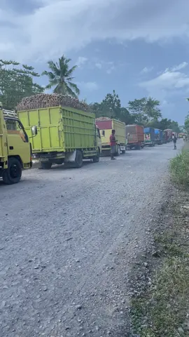 #ragasa_mania_menolak_punah #sinkongbalap #lampungtengah✋