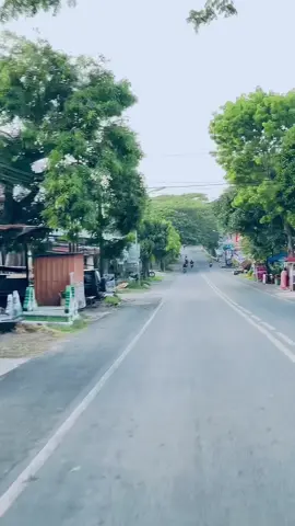 🌳#bulukumbakeren #bulukumbavibes #bulukumba_sulawesiselatan #masukberanda #fyp 