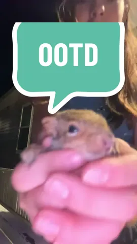 OH YEAHHHH😝 ITS S OCUTE I LOVE IT SO MUCH🥹💗 PEACE OUT GIRLSCOUTS✌️🥹 STAY SWAGGY🤙 I LOVE YALL🫶💗 #OOTD #fitcheck #xyzbca #fyp #viral 