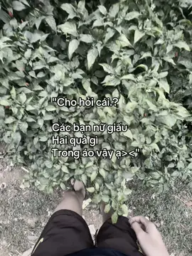 Có chút thắc mắc.#xuhuong #xuhuongtiktok #viral #tamtrang #caphay 