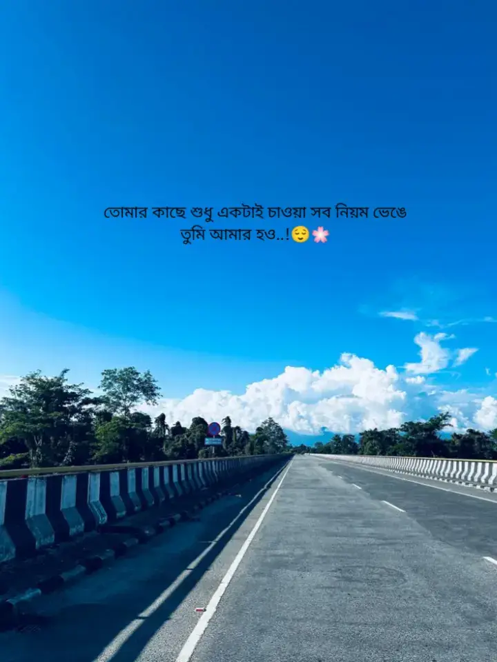 তোমার কাছে শুধু একটাই চাওয়া সব নিয়ম ভেঙে তুমি আমার হও..!😌🌸