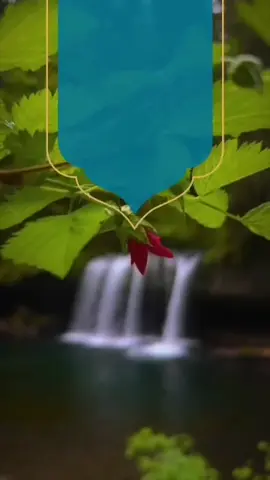 #اكسبلور #لايكات #ابن_عثيمين_رحمه_الله 