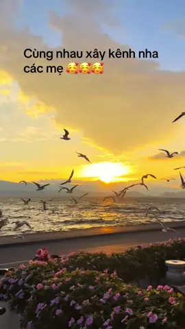 Hành trình xây kênh lên 1000 fl 🥰🥰🥰 #hanhtrinhxaykenh #xaykenhtiktok #xaykenh24h #foryou 