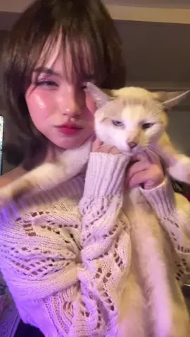 Les presento a Zeus 🐱💕 #venezuela #trend #makeup #dance 