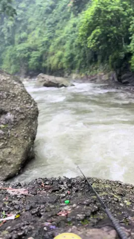 Spot josjis #masheer #mancing #pekalongan #spotmancingliar 