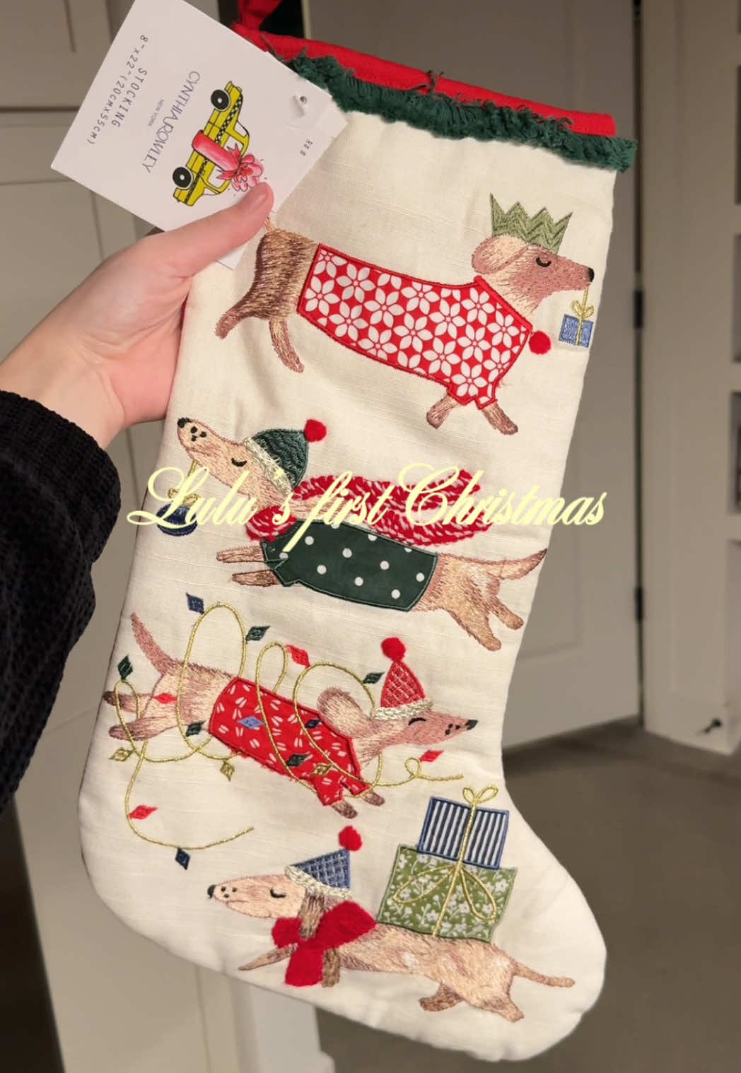omg she’s going to LOVE Christmas  #minidachshund #dogstocking #firstchristmas #christmasdecor #doxiesoftiktok 