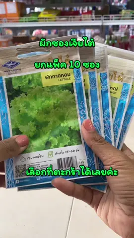 #ผักซองเจียไต๋ #เมล็ดพันธุ์ผัก #เมล็ดผักเจียไต๋ #เจียไต๋ #ผักซอง 