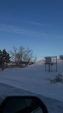 #snow #winter #alaska #fyp 