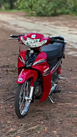 #sirius #siriusđộkiểng #xuhuongtiktok 