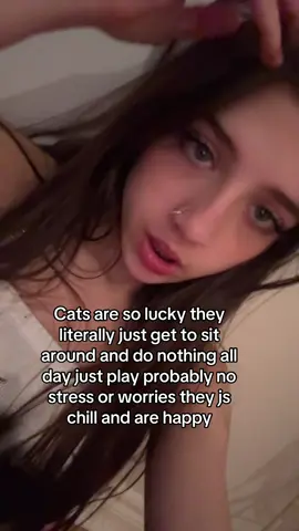 Lucky mfs #tvgirl #catsoftiktok #lucky #nostress #fyp 