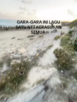 Bukan kah bgitu tuan dan nyonya ntt😂🤣 #nttpride🏝#kupang#4y#sunsetbeach#firalkan