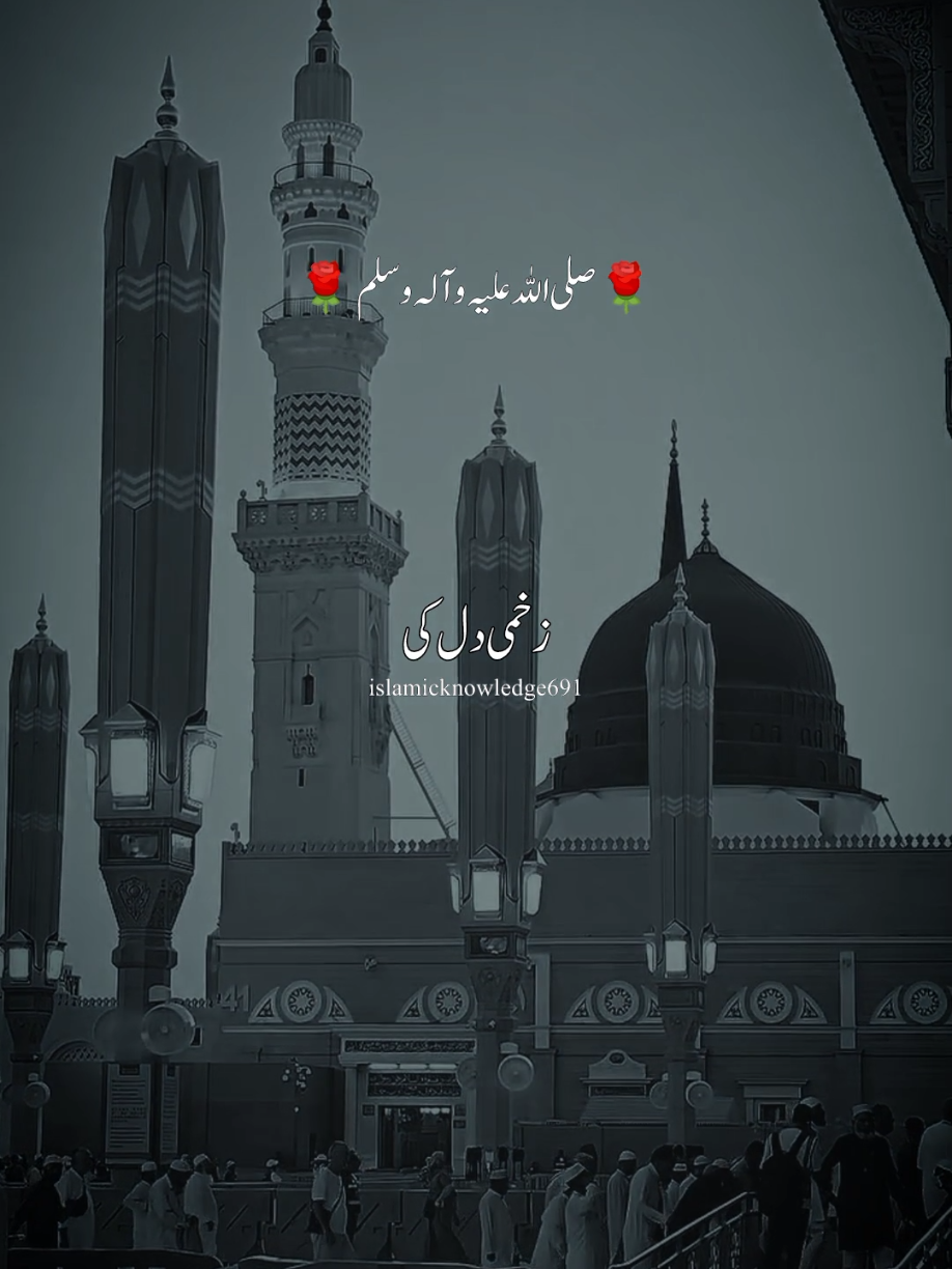 زخمی دل کی دوا مدینہ ہے  #naatstatus #islamic_video #viral_video #foryoupage #fyp 