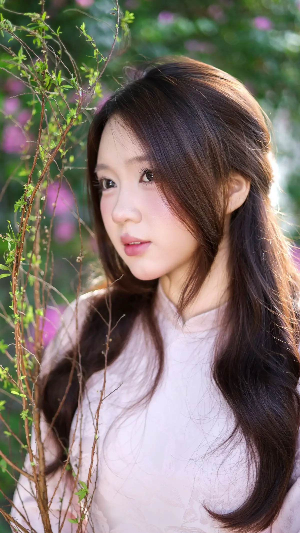 #tiemanhtrongtri #conceptaodaitet #chuptetcantho #chuptet2026 #hoatuyetmai 