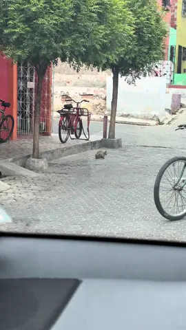 Não precisa mais se virar sozinho pra ninguém te machucar 🥹❤️