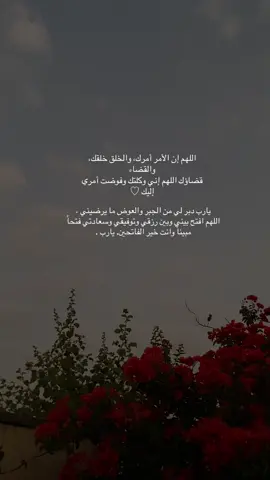 اللهُم اني وليتكَ امري فـ اعوذ بكَ من سوء حظي و ضيق صدري و من فراغ صبري ، وأعوذُ بك يا الله من دربٍ مسدود، وسعيٍ مردود، وظنٍ مخذول، وأن يتعلق قلبي بما ليس لي. و اجعلني يارب ممن نظرت اليه فـ رحمته و سمعت دعائه فـ اجبته.#يارب🤲 #ادعية_اسلامية_تريح_القلب #اصبحنا_واصبح_الملك_لله__صباح_الخير #creatorsearchinsights2025 #ربي_اشرح_لي_صدرى_ويسر_لي_أمري 