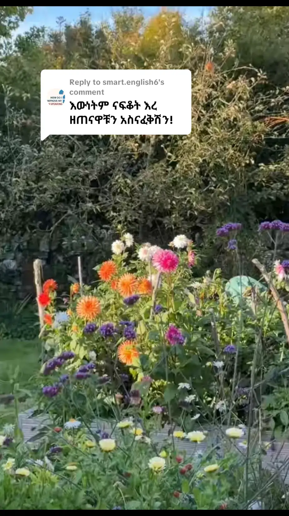 Replying to @smart.english6 