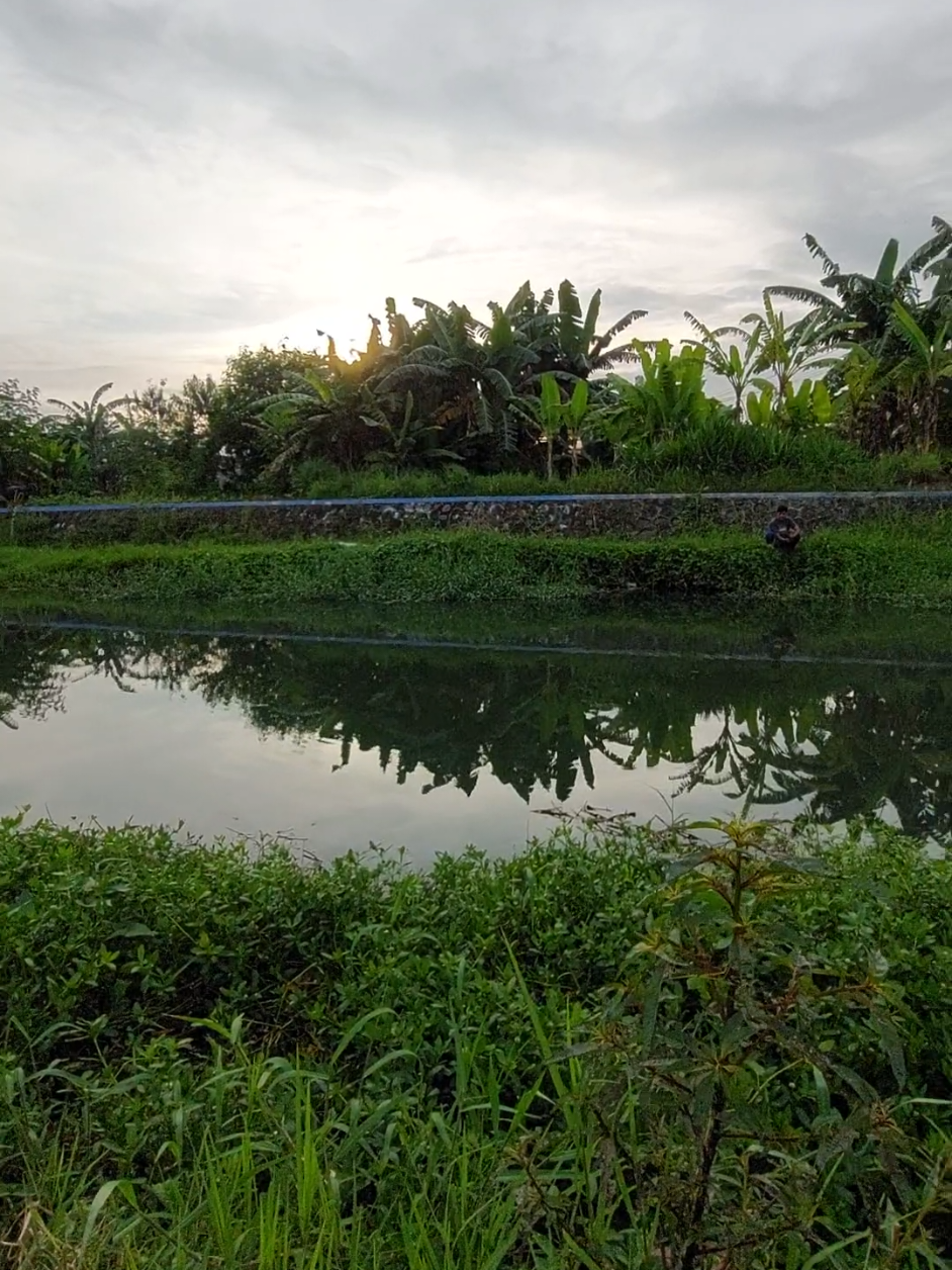 Piye to kihhh #mancingikan #mancingwader #microfishing  #mancingmania #boncos 