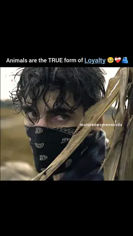 UK #London #BritishCelebrities #RoyalFamily #PrinceHarry #BritishCulture #England #France #Paris #FrenchCelebrities #EiffelTower #FrenchStyle #Mbappe #FrenchVibes #Russia #Moscow #Putin #RussianCulture #RussiaToday #EasternEurope #USA #Hollywood #AmericanCelebrities #ElonMusk